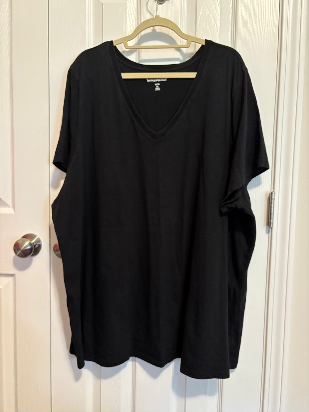 Woman Within Black V-Neck Tee